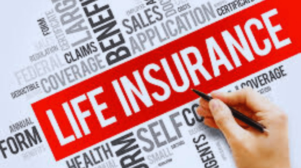 Affordable Life Insurance for Young Adults: A Smart Financial Move